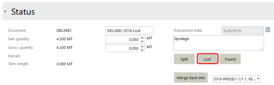 Lost inventory lot example